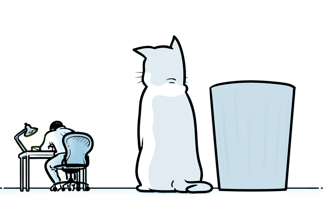 catCatchingPaper